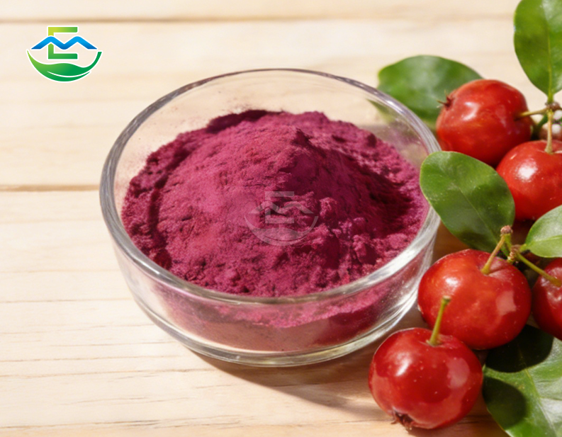 acerola extract powder